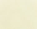 5404 Canvas
 Natural