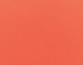 5415 Canvas
 Melon
