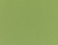 5421 Canvas
 Palm