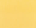 5438 Canvas
 Buttercup