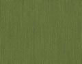 5447 Canvas
 Turf