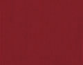 5454 Canvas
 Ruby