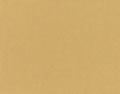 5484 Canvas
 Brass