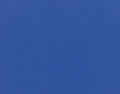 5499 Canvas
 True Blue