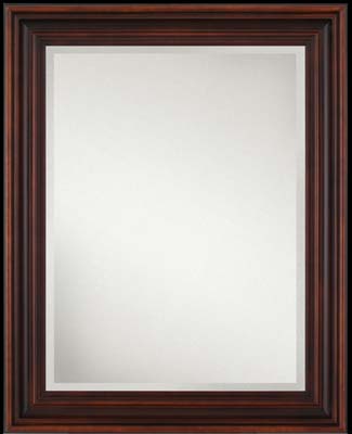 Oxford Beveled Mirror in Mocha
